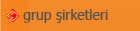 Grup �irketleri